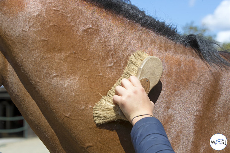 Photo © Jenny Abrahamsson for World of Showjumping.