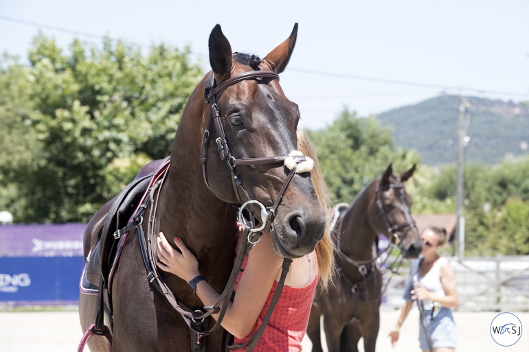 Photo © Jenny Abrahamsson for World of Showjumping.