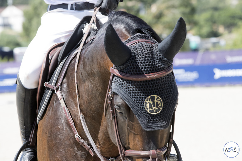 Photo © Jenny Abrahamsson for World of Showjumping.