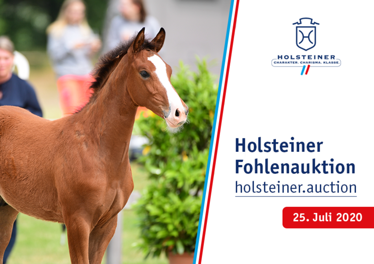 Holsteiner Verband marketing and auction GmbH