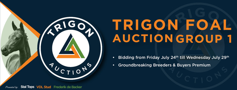 Trigon Auctions