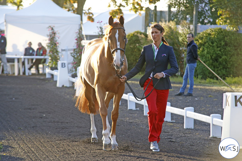 Photo © Jenny Abrahamsson for World of Showjumping.