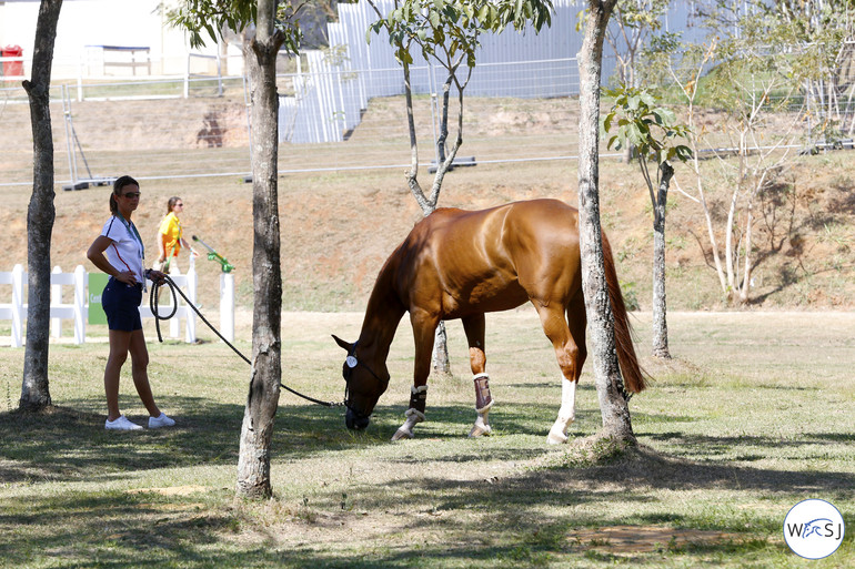 Photo © Jenny Abrahamsson for World of Showjumping.