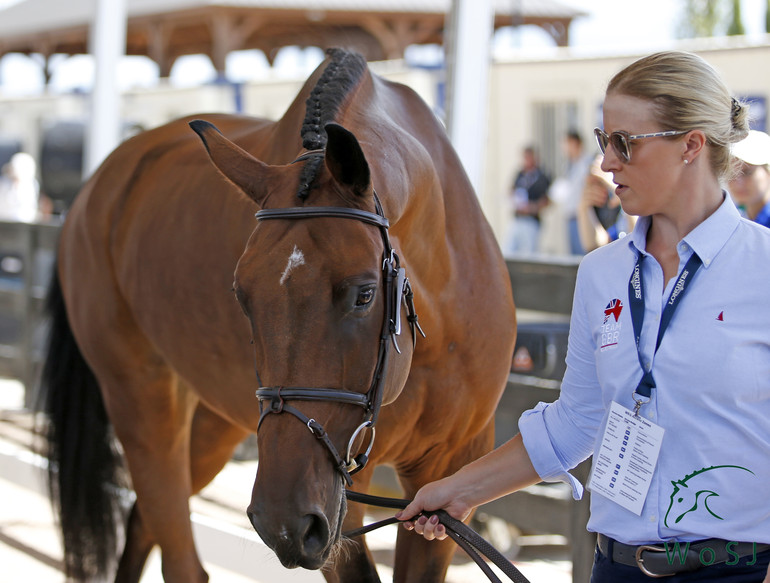 Photo © Jenny Abrahamsson for World of Showjumping.