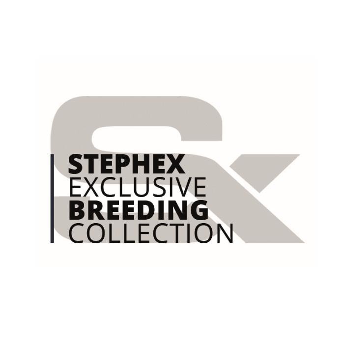 Stephex Exclusive Breeding Collection 2020