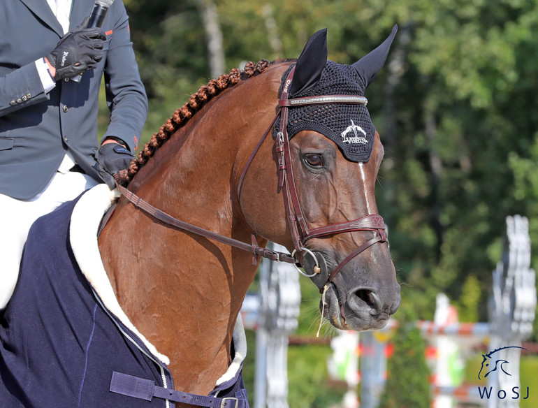 Photo © Jenny Abrahamsson for World of Showjumping.