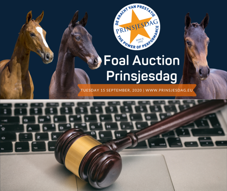 Foal Auction Prinsjesdag