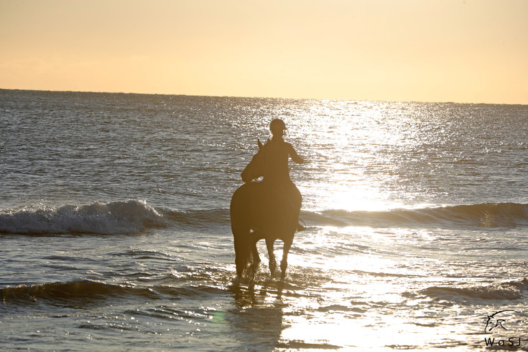 Photo © Jenny Abrahamsson for World of Showjumping.