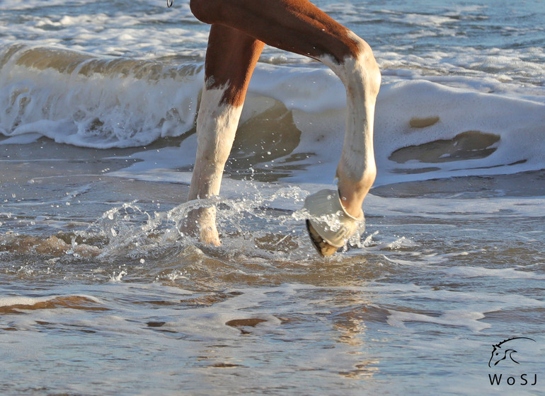 Photo © Jenny Abrahamsson for World of Showjumping.