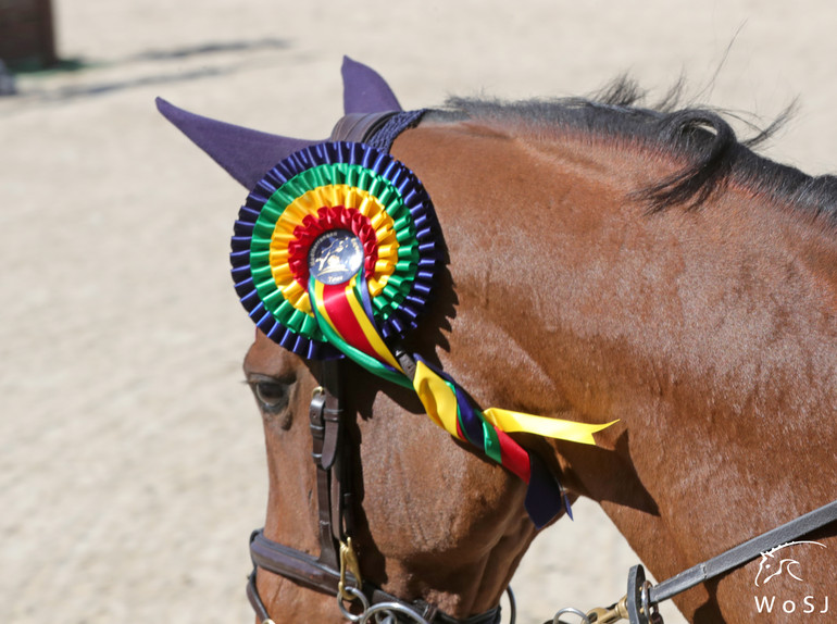 Photo © Jenny Abrahamsson for World of Showjumping.