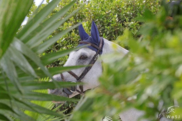 Photo © Jenny Abrahamsson for World of Showjumping.