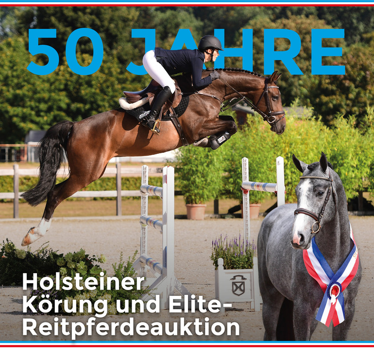 50th Holsteiner Verband Elite Riding-Horse Auction Sale and Stallion Grading