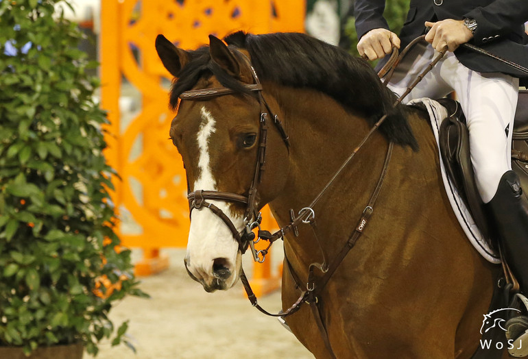 Photo © Jenny Abrahamsson for World of Showjumping.