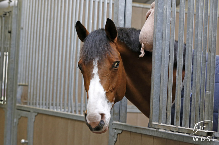 Photo © Jenny Abrahamsson for World of Showjumping.