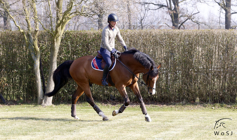 Photo © Jenny Abrahamsson for World of Showjumping.