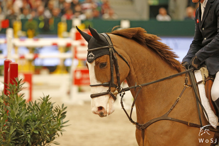 Photo © Jenny Abrahamsson for World of Showjumping.