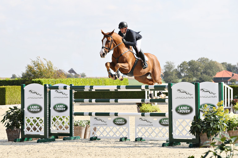 Freestyler (Zambesi x Indoctro x Ksar-Sitte)
