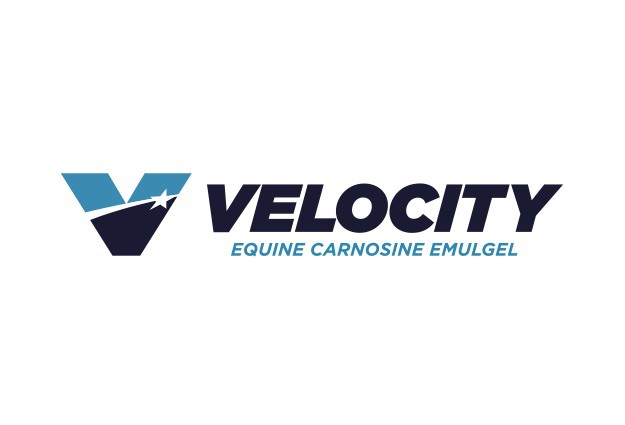 Velocity