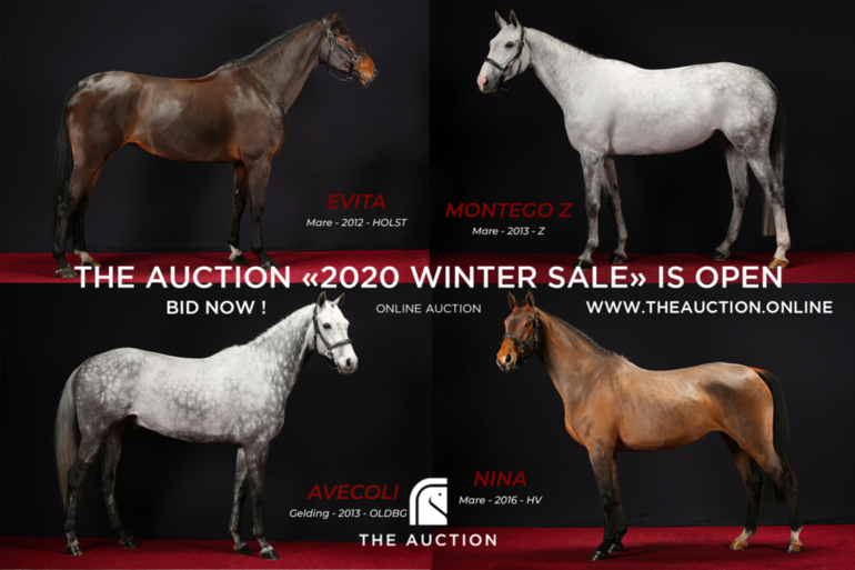 www.theauction.online