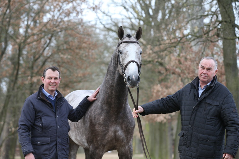 Luc Henry and Marc Kluskens with the stallion Picobello van't Roosakker