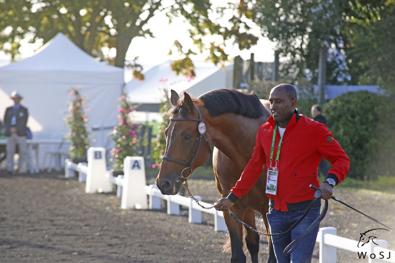 Photo © Jenny Abrahamsson for World of Showjumping.