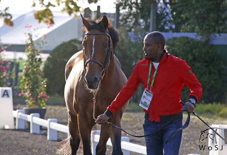 Photo © Jenny Abrahamsson for World of Showjumping.