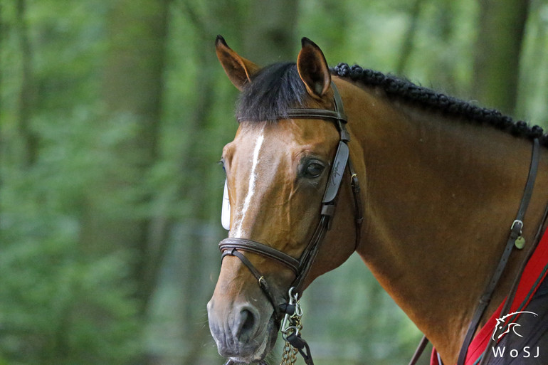 Photo © Jenny Abrahamsson for World of Showjumping.