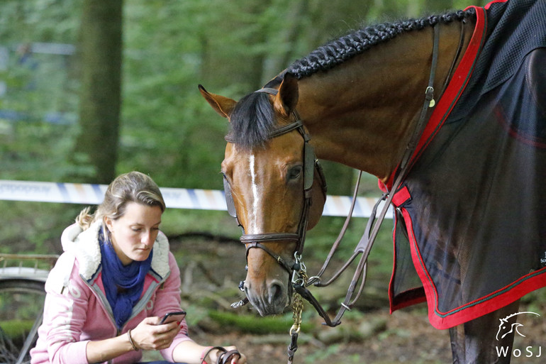 Photo © Jenny Abrahamsson for World of Showjumping.