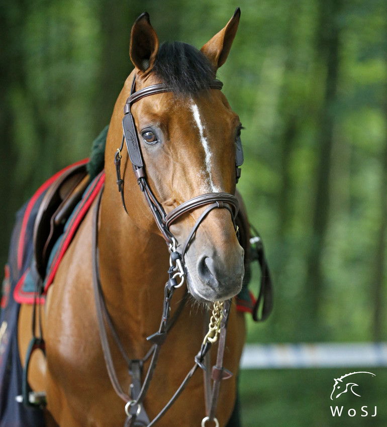 Photo © Jenny Abrahamsson for World of Showjumping.