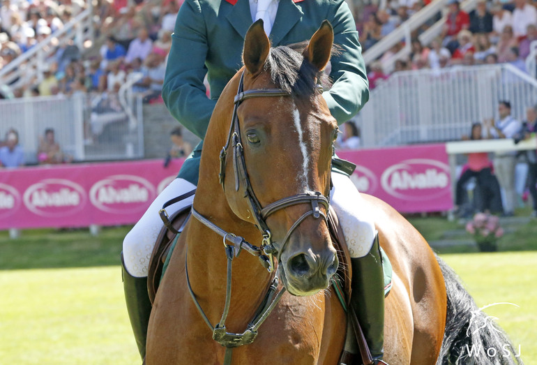 Photo © Jenny Abrahamsson for World of Showjumping.