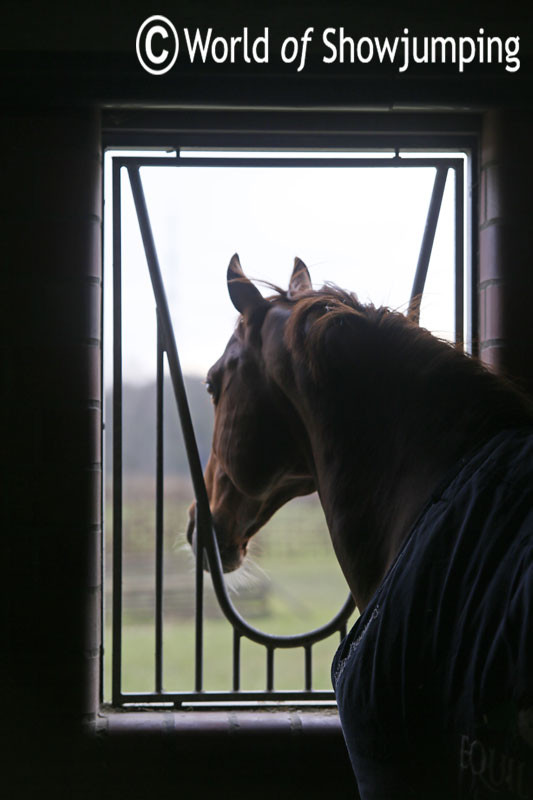 A room with a view. 