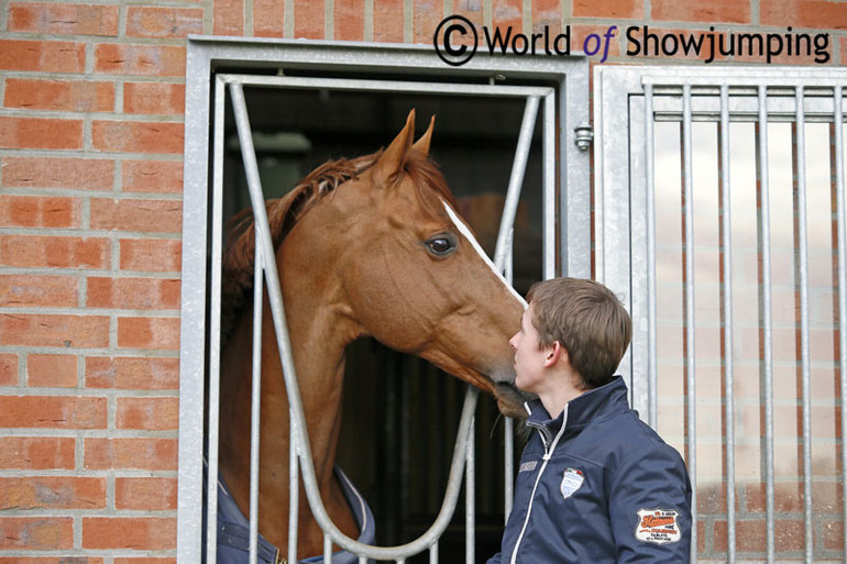 "Romanov is a very nice horse, straight forward – fit and fresh for his age," Bertram says of the 16 year old stallion.
