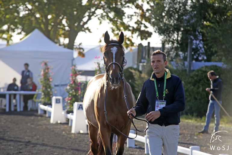 Photo © Jenny Abrahamsson for World of Showjumping.