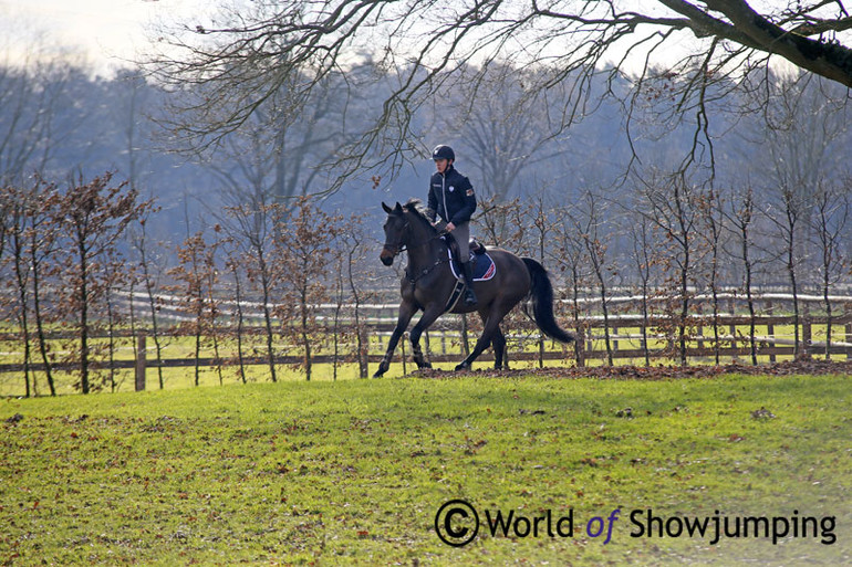 "I try to get them around the woods here or on the gallop track – or just working them on the grass field – just doing something different with them. I think it's good for them mentally as they spend so many days of their lives in the arena," Bertram said of his way of training his horses. Here's how it looked when we visited Ireland's super talented 18 year old! All photos by Jenny Abrahamsson.