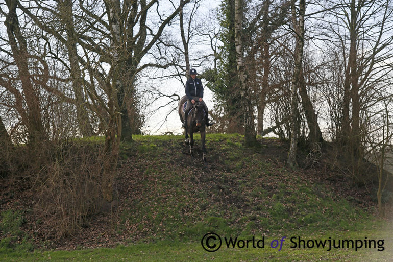 Bertram is all about variation, and a lot of the time is spend outside with the horses. Here Izzy By Picobello gets a try at the bank...