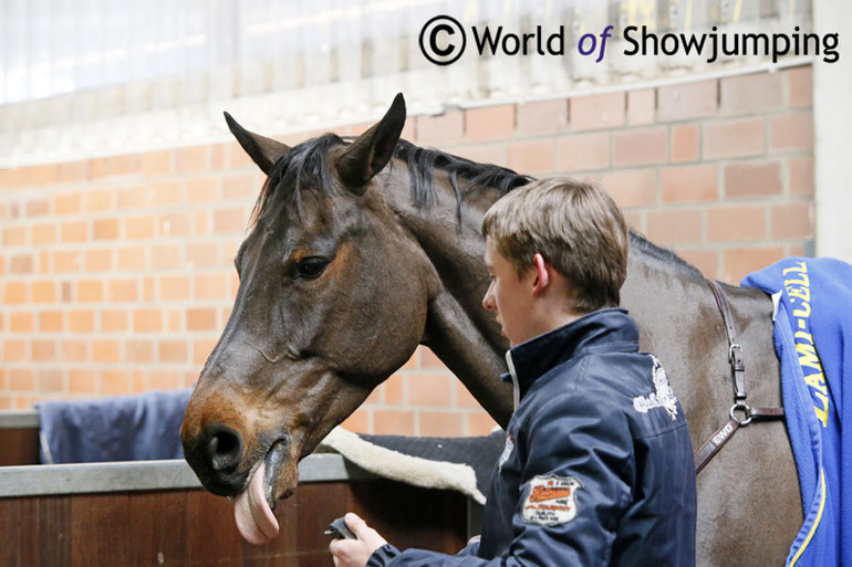 Bertram tacking up the six year old Izzy By Picobello to give us a little illustration of what he likes to do when riding and training at home.