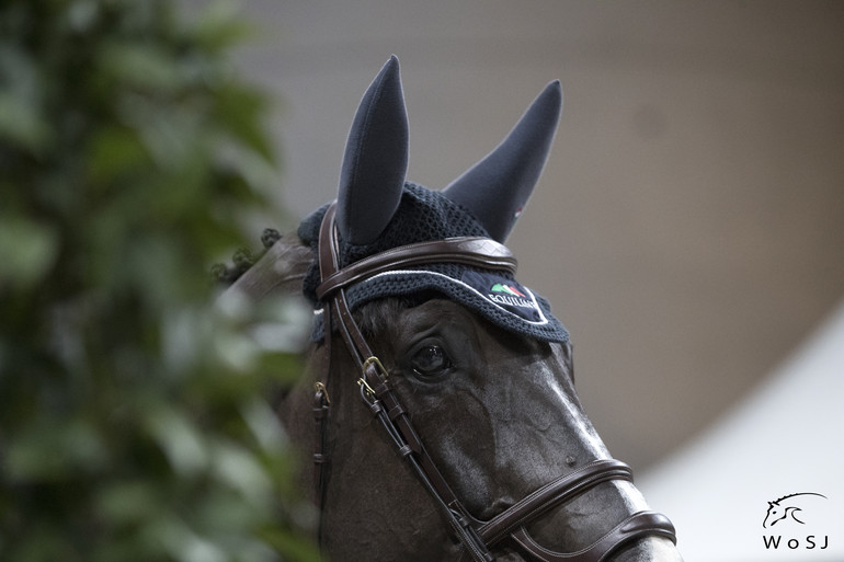 Photo © Jenny Abrahamsson for World of Showjumping.