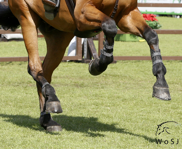 Photo © Jenny Abrahamsson for World of Showjumping.