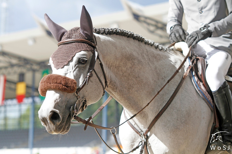 Photo © Nanna Nieminen for World of Showjumping