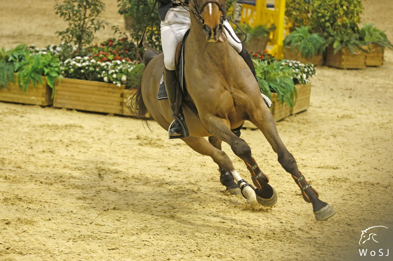 Photo © Jenny Abrahamsson for World of Showjumping.