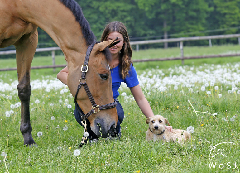 Photo © Jenny Abrahamsson for World of Showjumping.