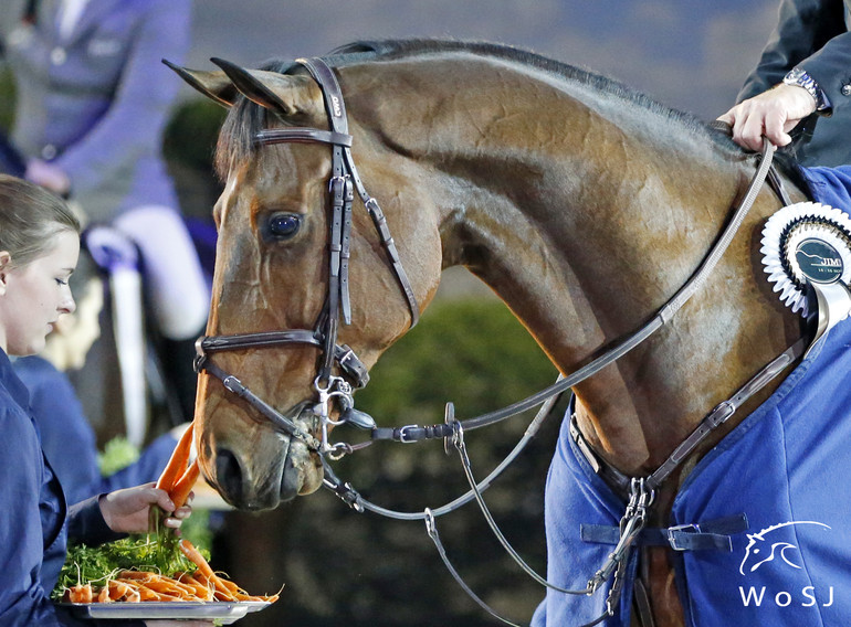 Photo © Jenny Abrahamsson for World of Showjumping.