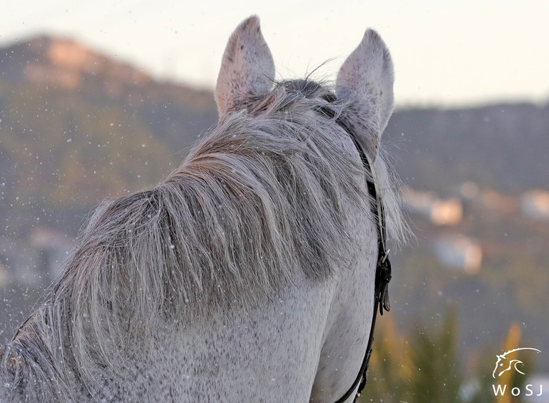 Photo © Jenny Abrahamsson for World of Showjumping