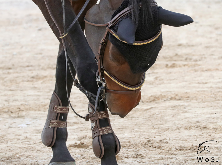 Photo © Jenny Abrahamsson for World of Showjumping. 