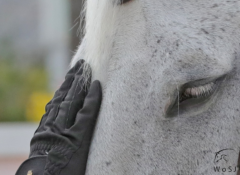 Photo © Jenny Abrahamsson for World of Showjumping