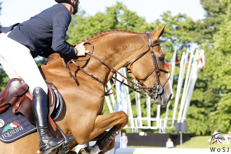 Photo © Jenny Abrahamsson for World of Showjumping.