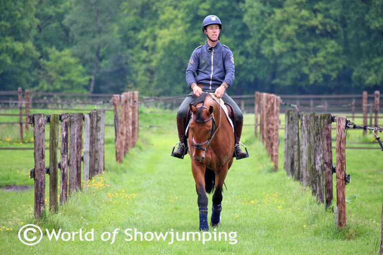 The Van der Vleuten-yard is situated in the beautiful countryside outside the town Someren, The Netherlands. Here's Maikel out walking VDL Groep Aristo Z after a jumping session.