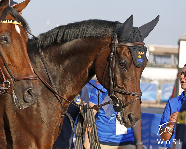 Photo © Jenny Abrahamsson for World of Showjumping.