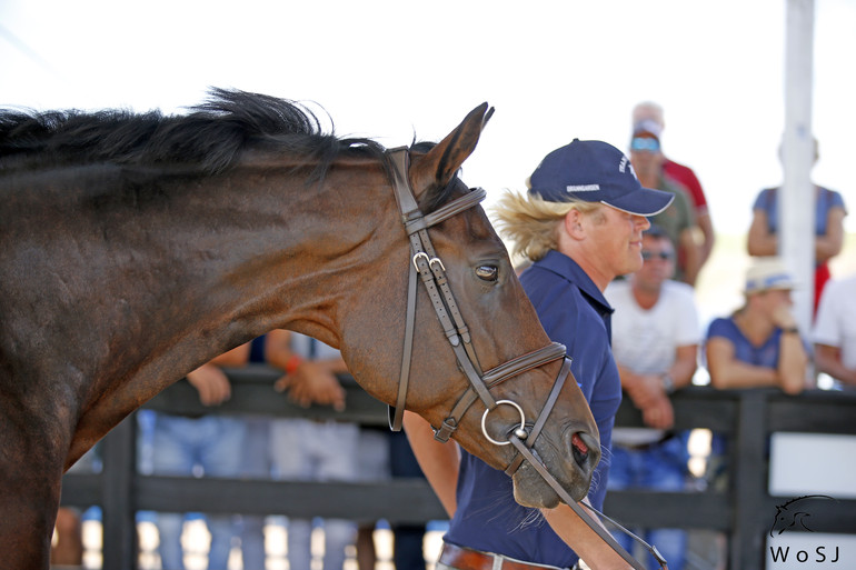 Photo © Jenny Abrahamsson for World of Showjumping.