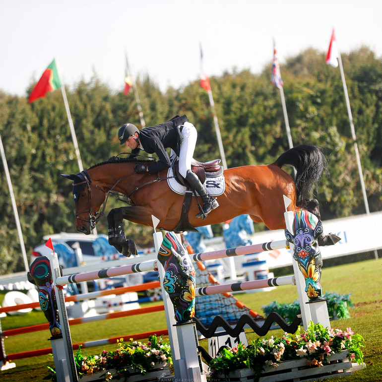 From the American equitation rings to Europe's biggest trading stables ...